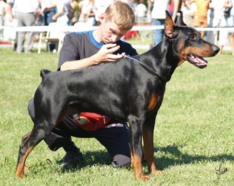 IDC 2006 - Seregelyes - Hungary